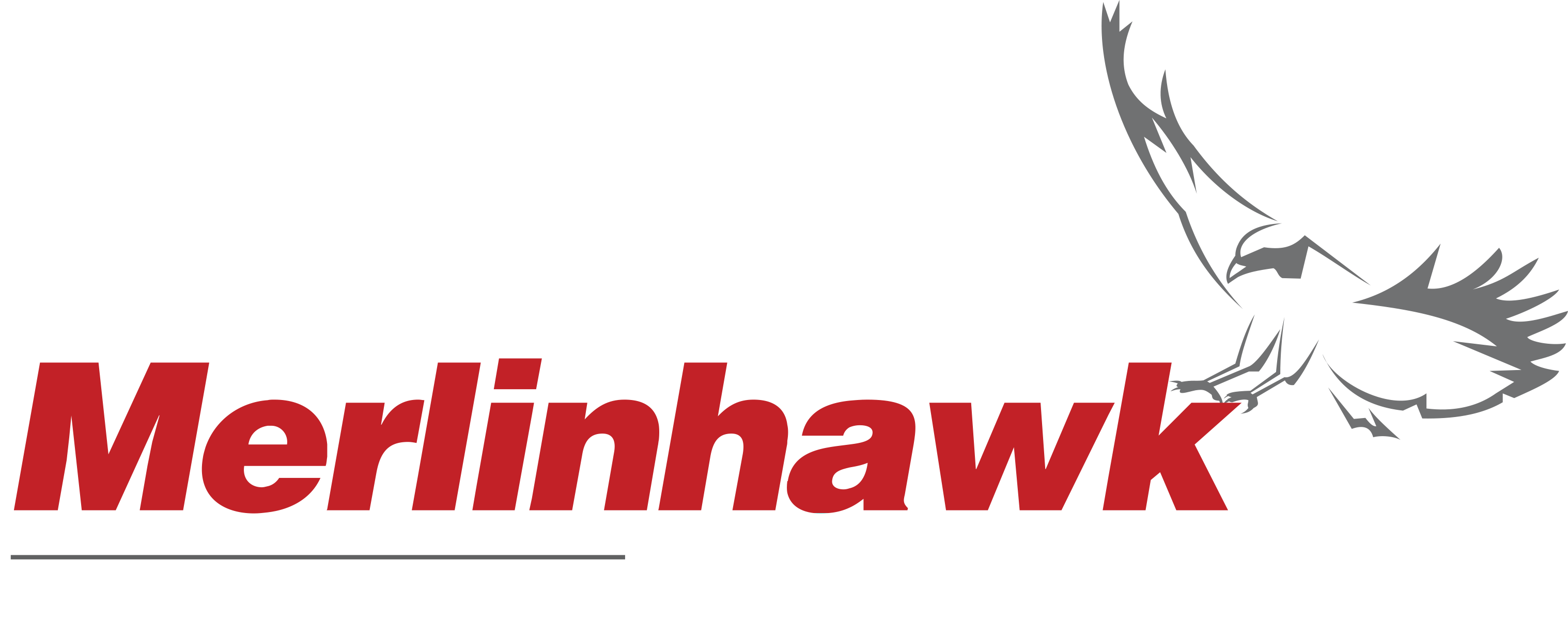 Merlinhawk-Aerospace-logo White